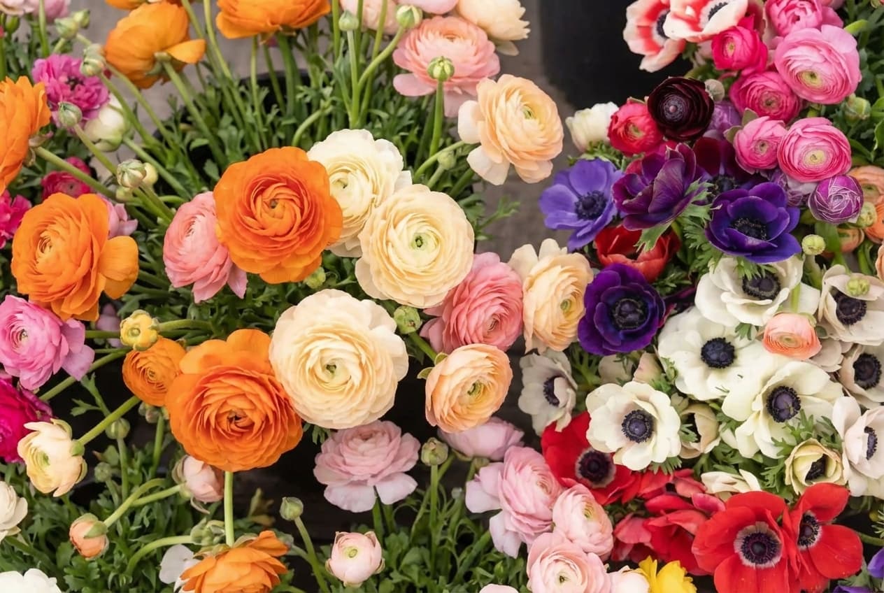 AI Receptionist for Florists