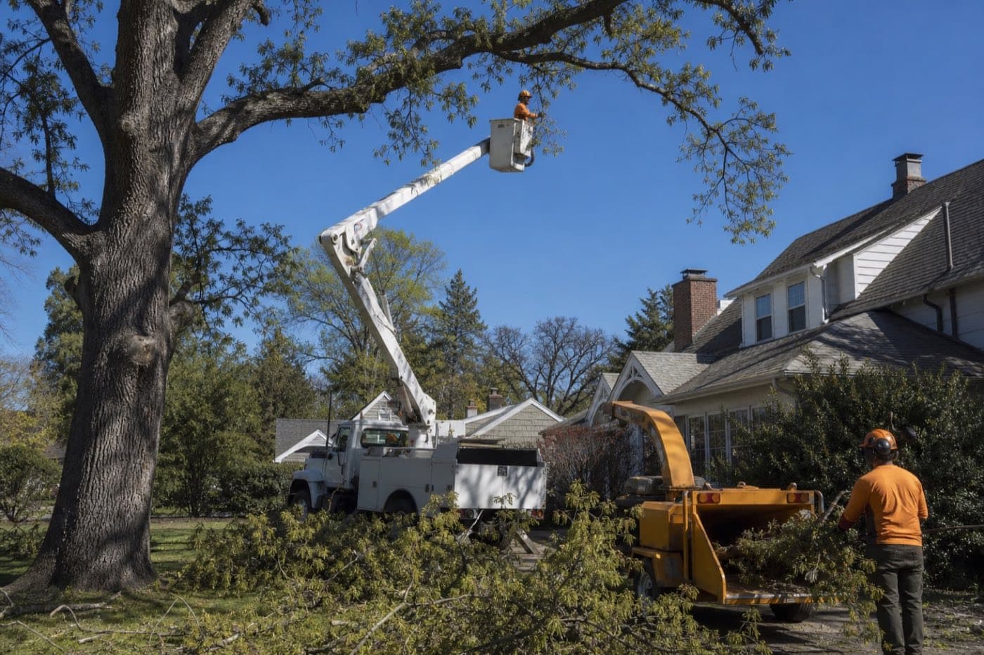 The Tree Service Answering Service That Books While You're in the Bucket