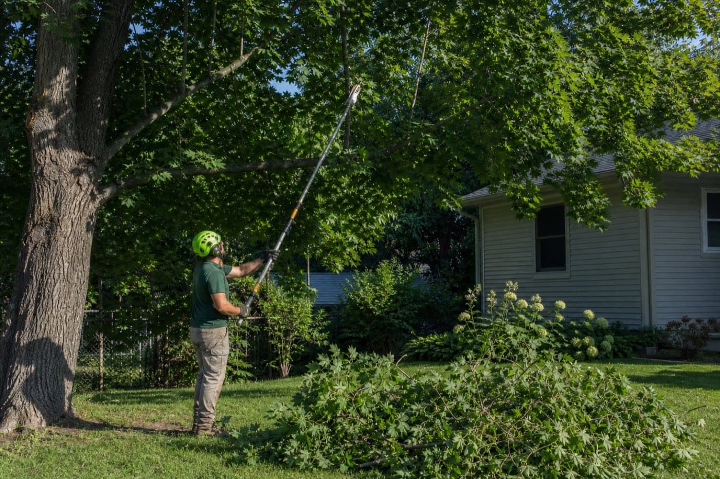 What is a tree service answering service?